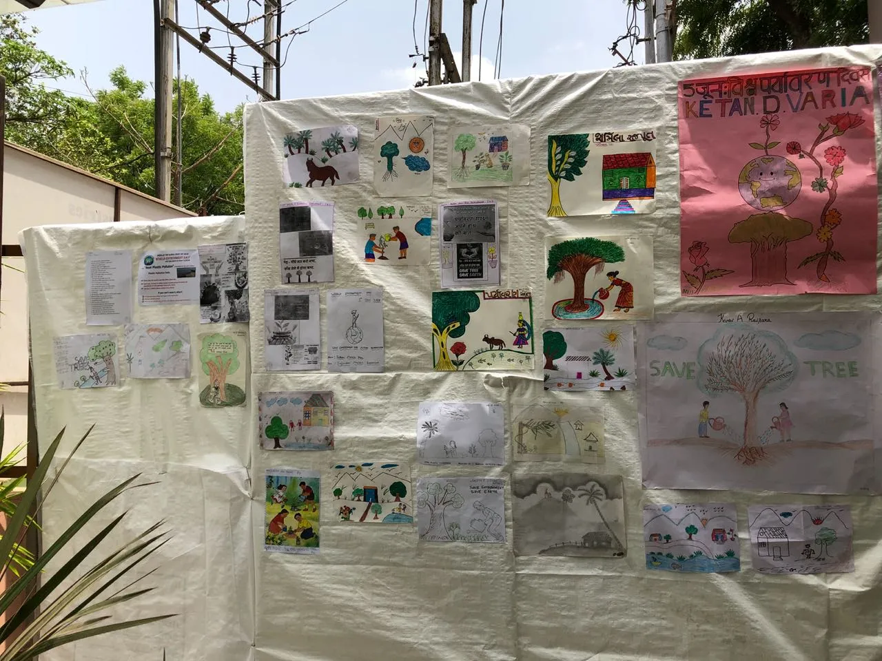 World Environment Day 2018